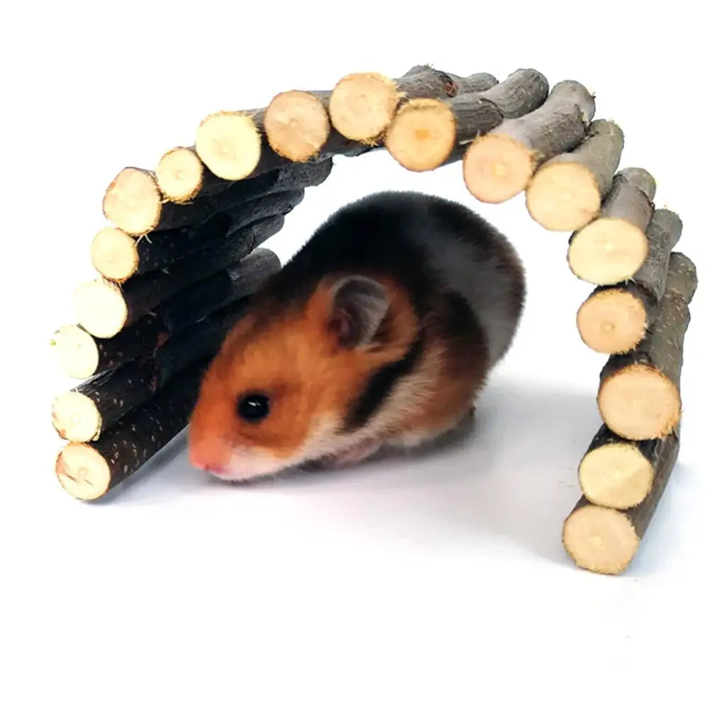 Hamster Dodging Tunnel Hamster Molar Toy Apple Wooden Arch Bridge Pet Rabbit Chinchilla Guinea Squirrel Bite Molar Chewing Toys