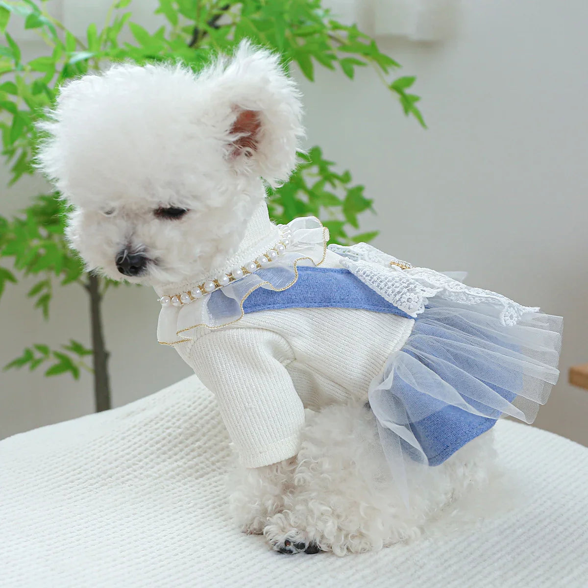 1PC Pet Apparel Dog Spring and Autumn Blue Bow Pendant Lace Princess Dress With Drawstring Buckle For Small Medium Dogs